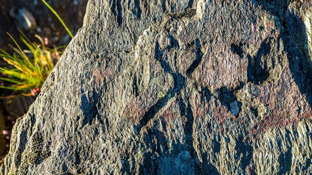 Petroglifos de la Xorenga