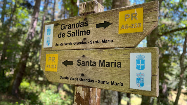 Senda Grandas - Santa María